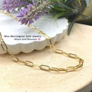 MsMorningstar 18k Premium Paperclip Necklace | VNB