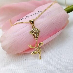 MsMorningstar 18k Dear Rosie Necklace